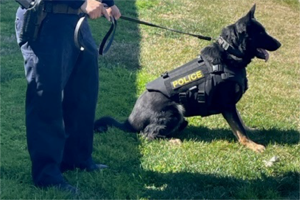 Mendota PD Canines